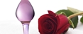 Sex Toys And Travel – What You Need To Know